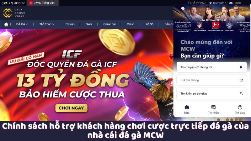 Chính sách hỗ trợ khách hàng chơi cược trực tiếp đá gà của nhà cái đá gà MCW