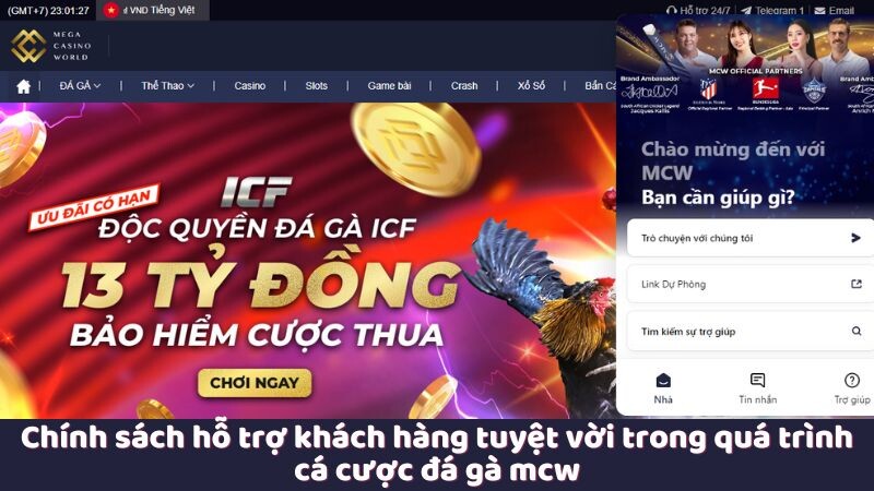 Chính sách hỗ trợ khách hàng tuyệt vời trong quá trình cá cược đá gà mcw