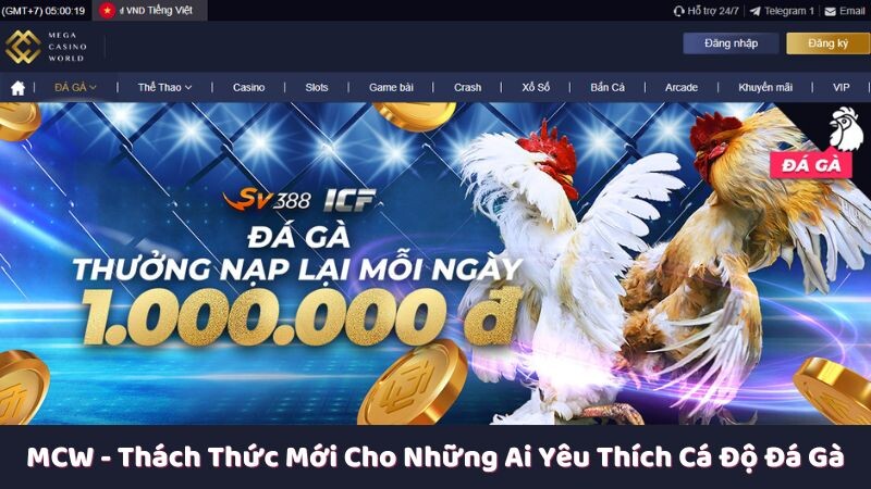 Vì sao chọn MCW để trải nghiệm cá cược đá gà mcw?