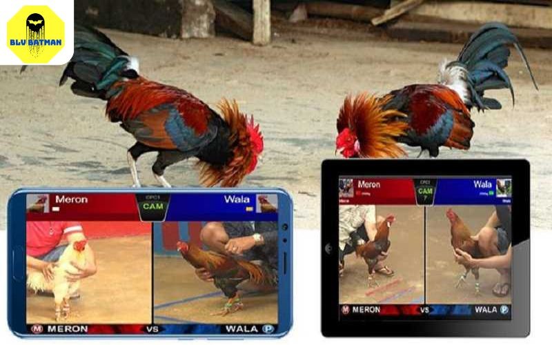 Giới Thiệu Nền Tảng Đá Gà Trực Tuyến Hàng Đầu Việt Nam 4 Giao diện đặt cược được thiết kế tiện lợi và dễ dàng đặt cược