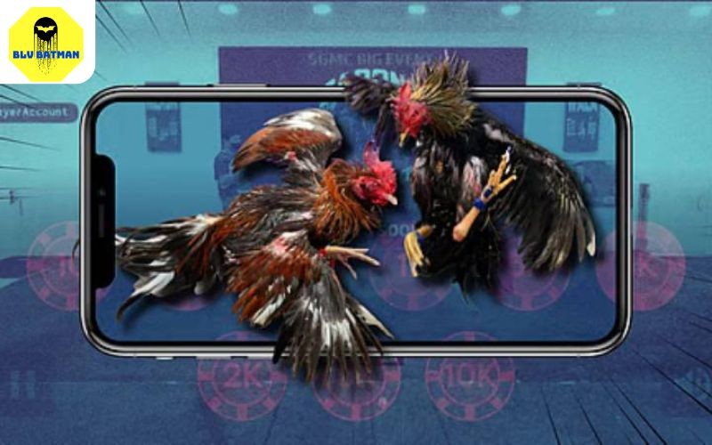 Giới Thiệu Nền Tảng Đá Gà Trực Tuyến Hàng Đầu Việt Nam 3 Nguồn trận đấu chất lượng từ các trường gà Campuchia